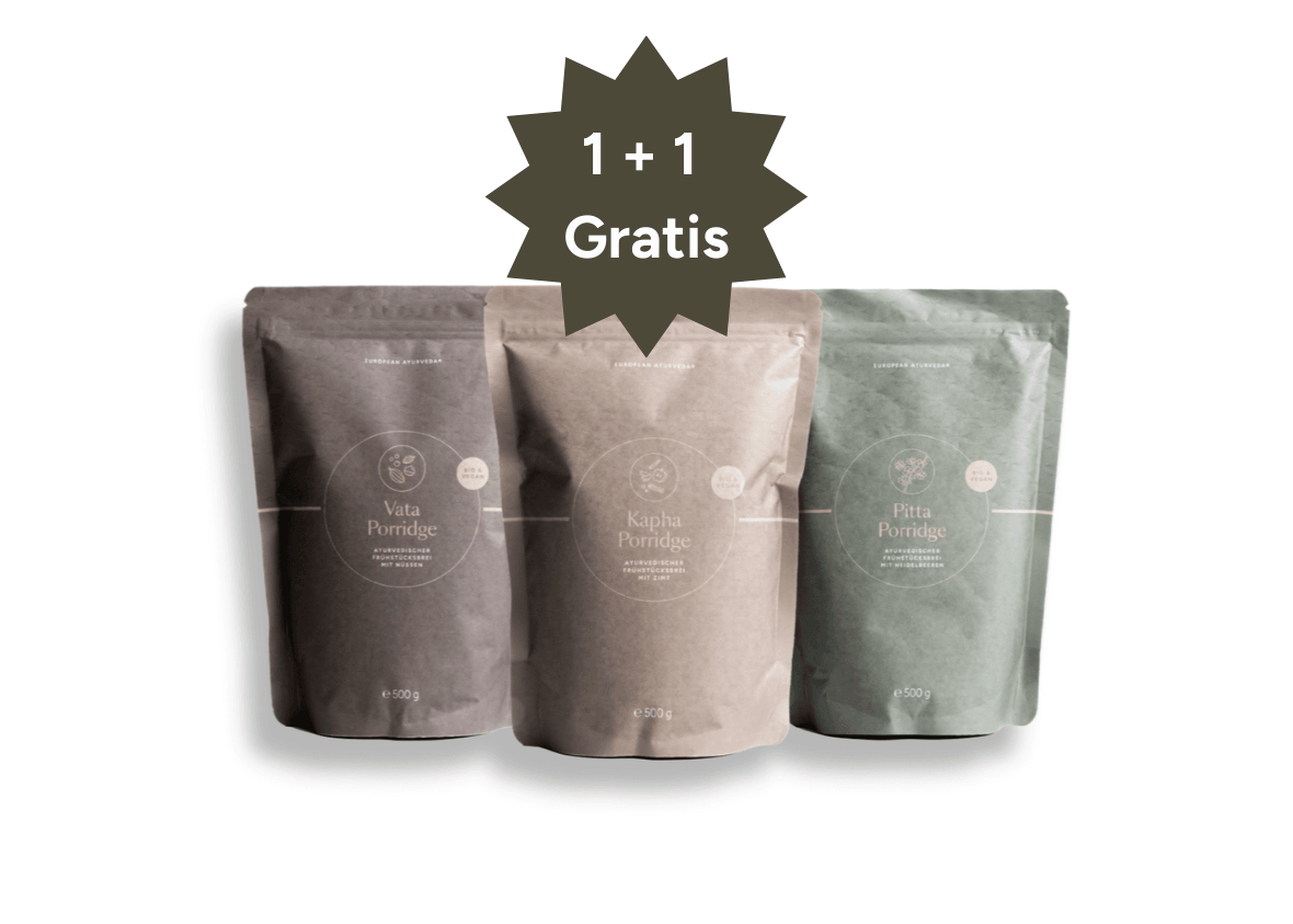 European Ayurveda® Porridge Bundle 3x500 g